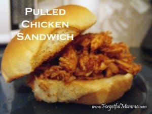 Pulled Chicken Burger
