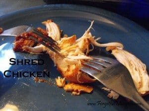 Pulled Chicken Burger