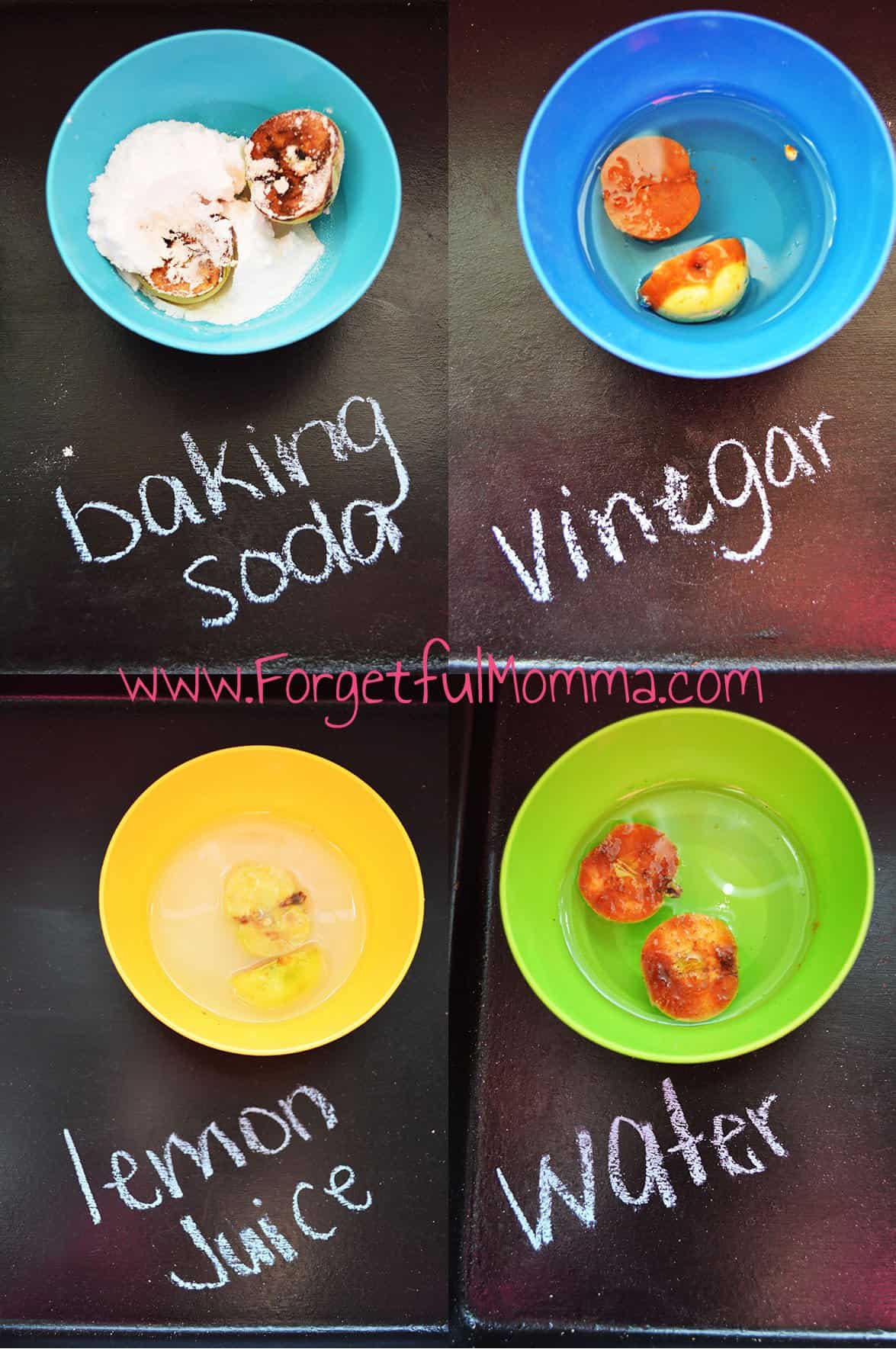 Apple Browning Experiment Forgetful Momma