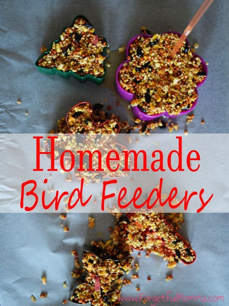 DIY Bird Feeders