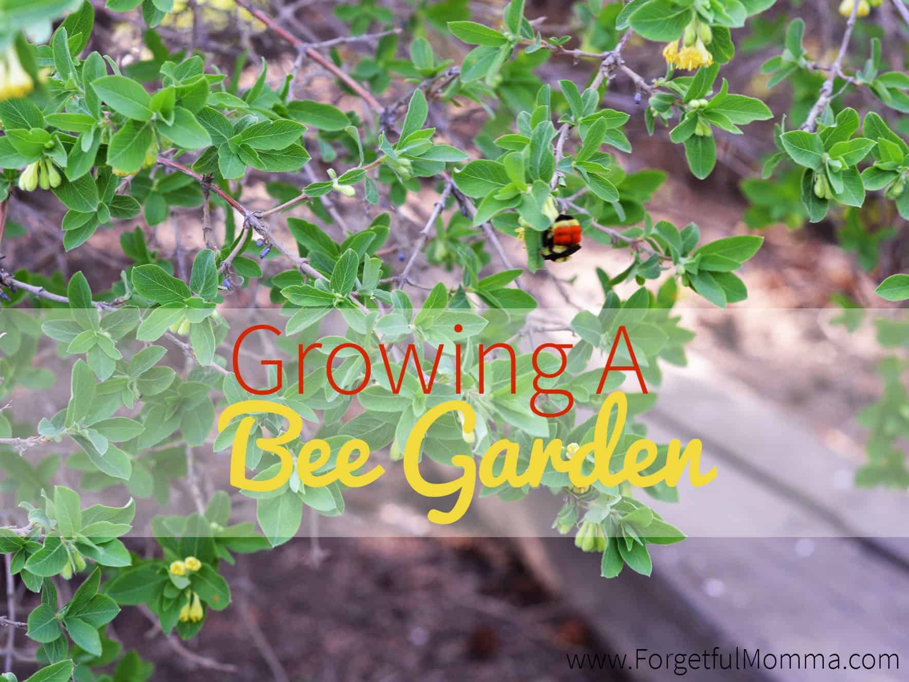 Growing A bee garden