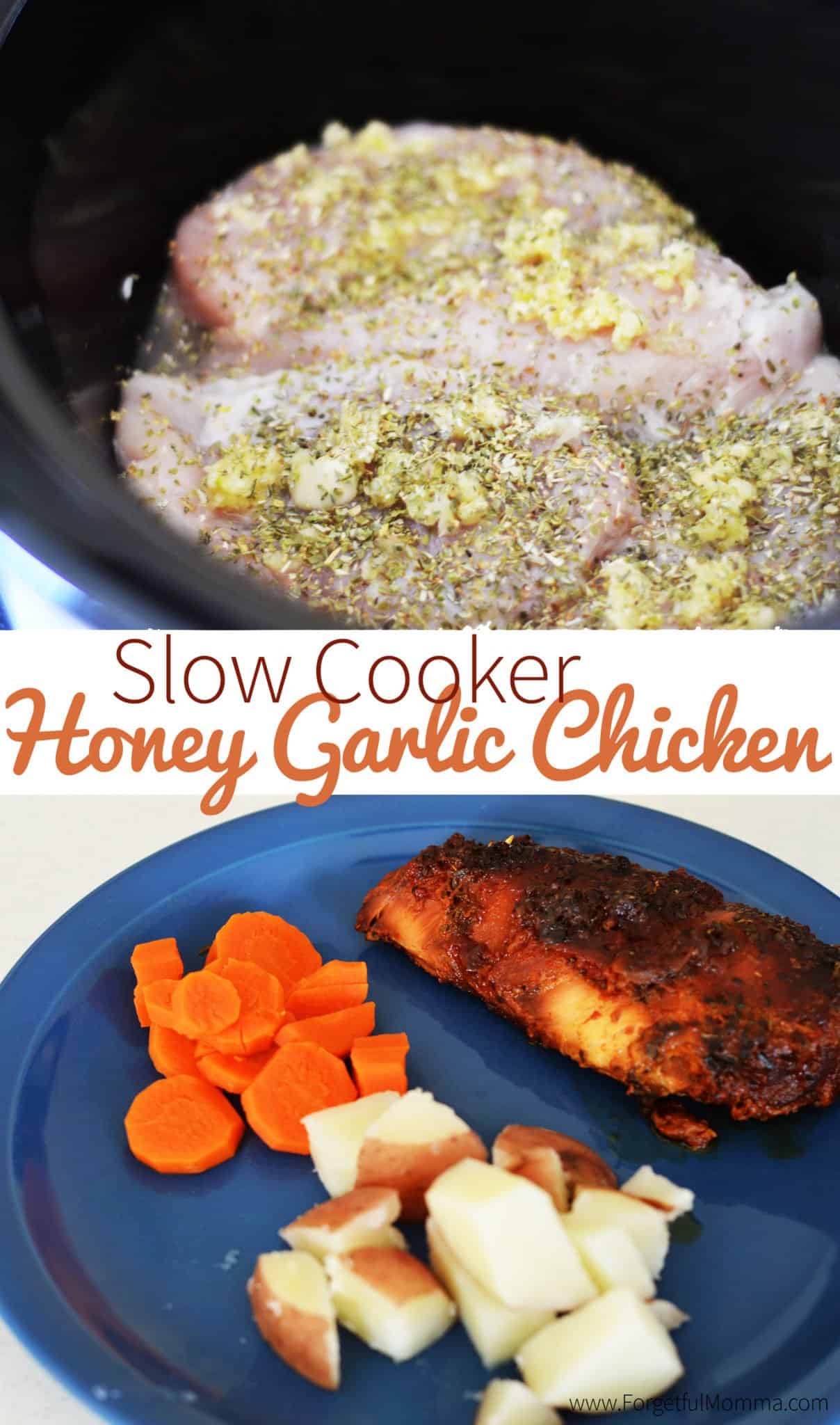 Slow Cooker Honey Garlic Chicken
