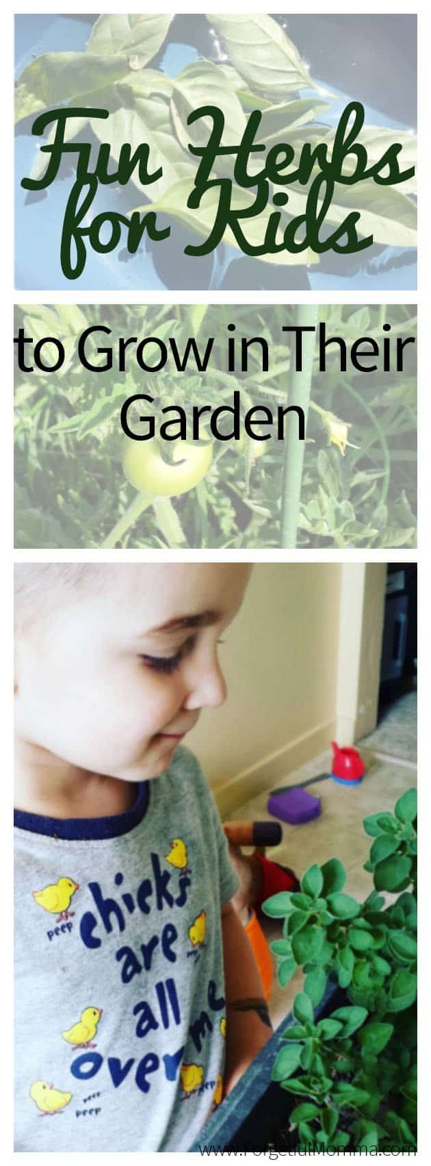 Fun Herbs for Kids to Grow in Their Garden