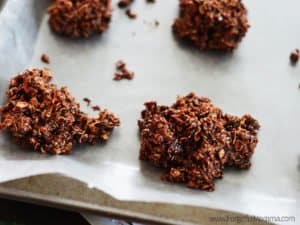 Poop Cookies - No Bake Cookies Recipe