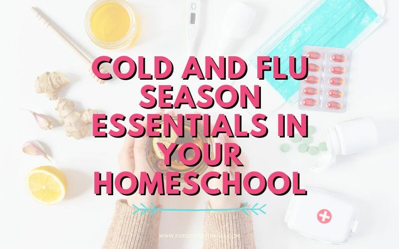 Cold and Flu Season Homeschool Essentials