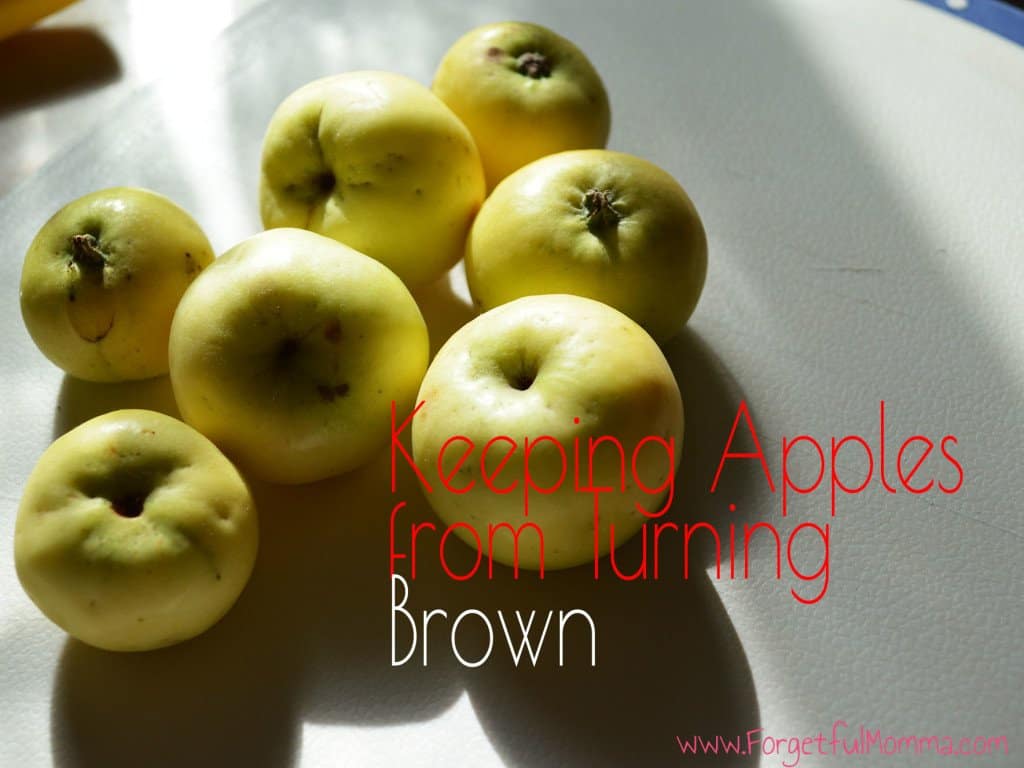 Apple Browning Experiment