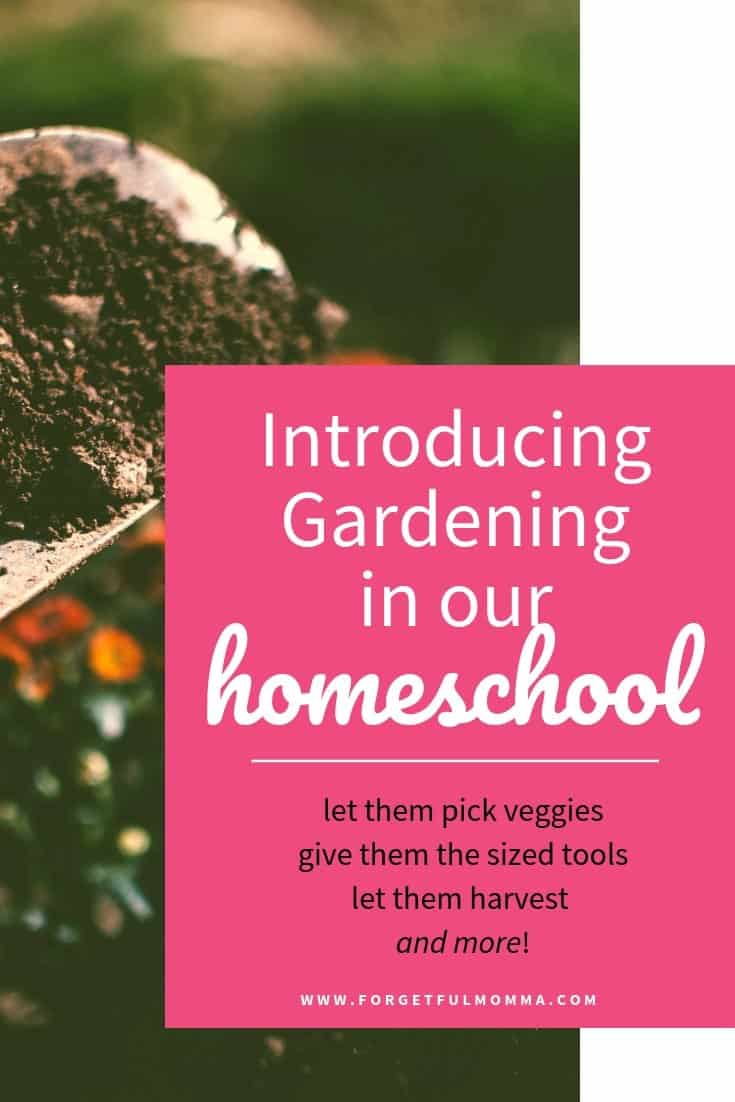 Introducing Gardening in our homeschool