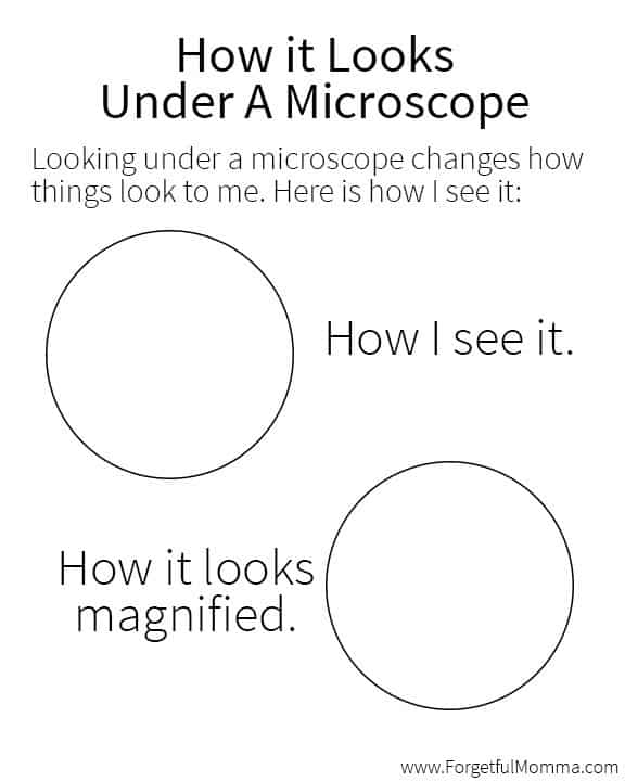 Learning with Microscopes