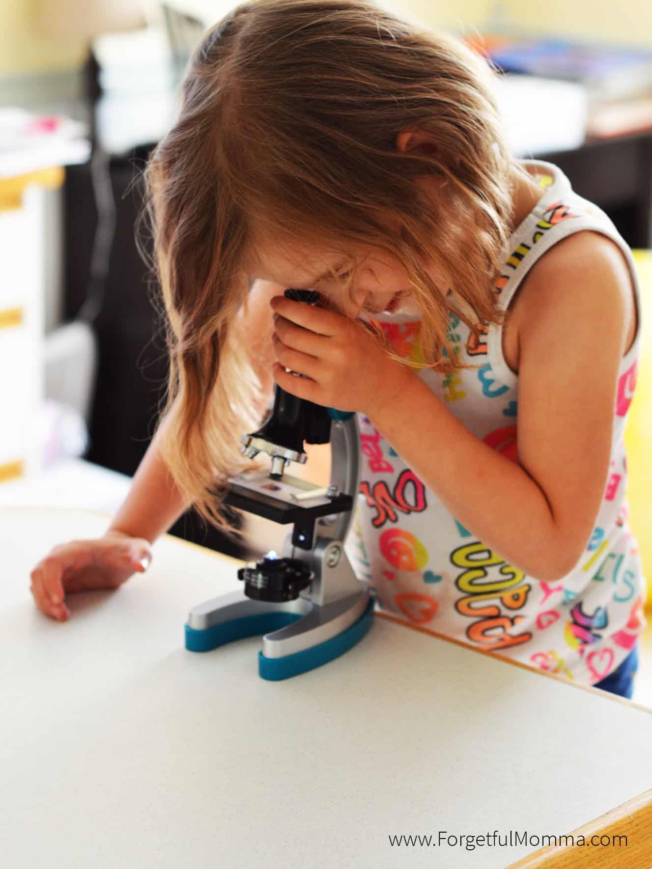 Learning with a Microscope