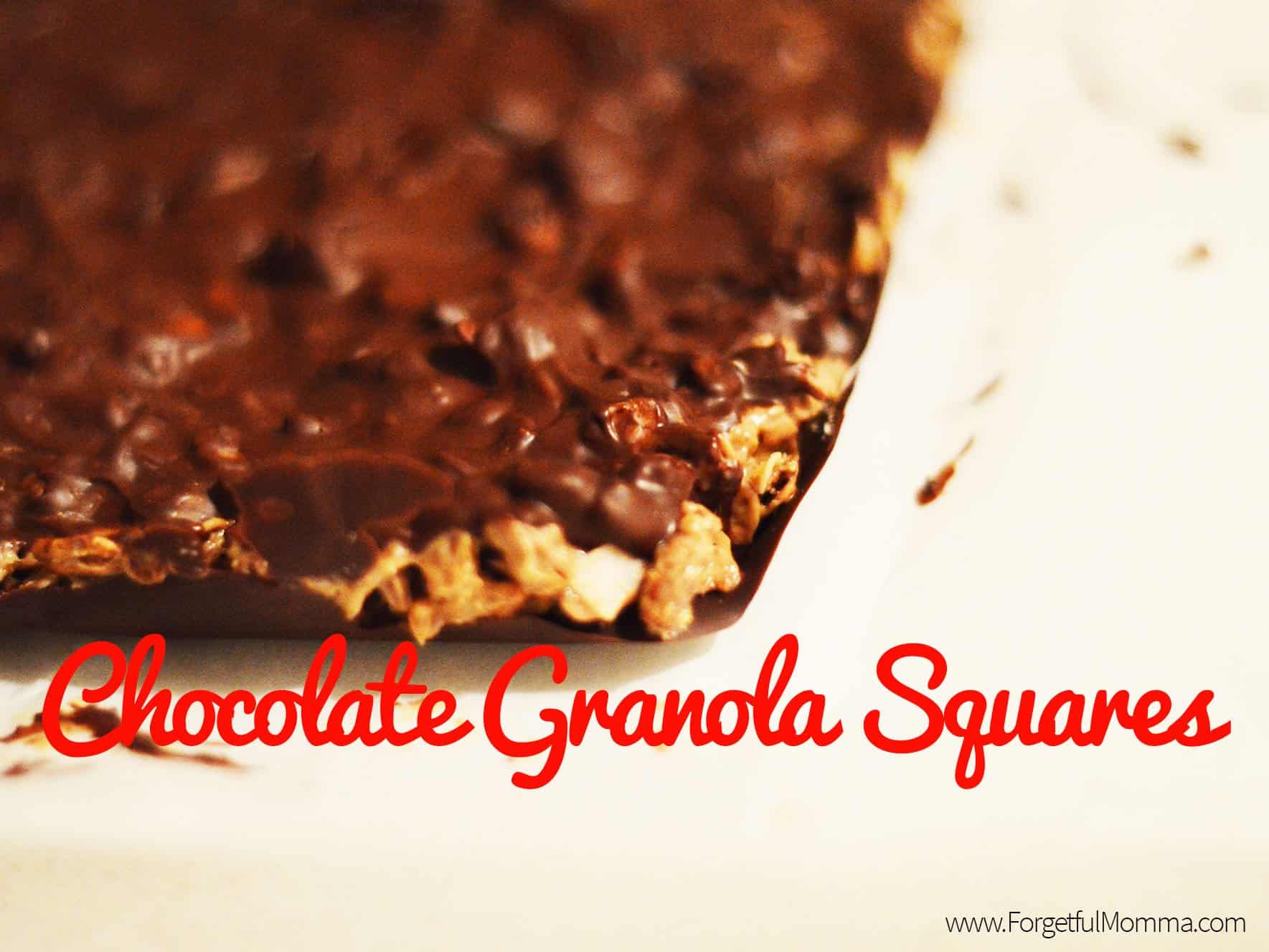 Chocolate Granola Squares