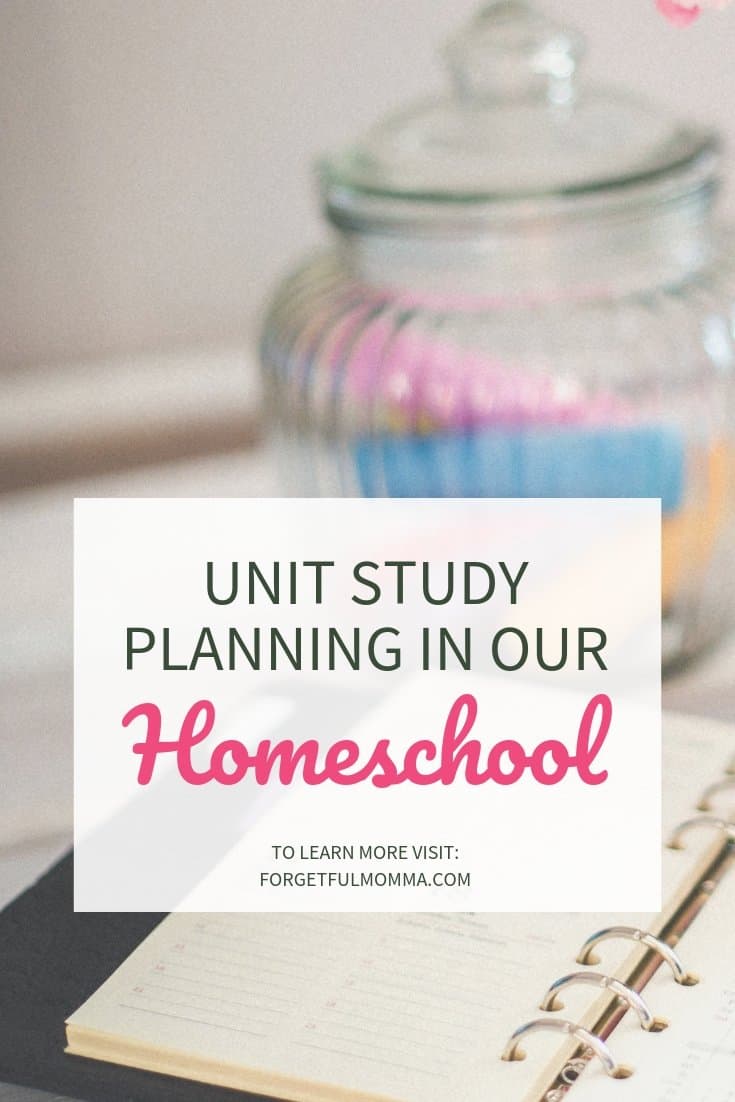 Unit Study in Our Homeschool