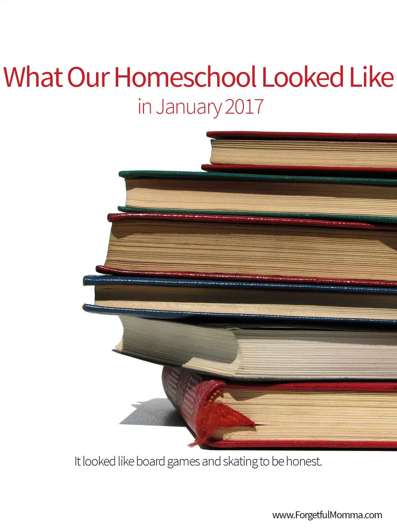 What Our Homeschool Looked Like in January 2017