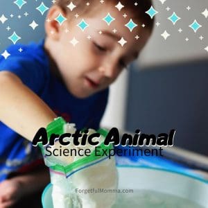 Arctic Animal Science Experiment