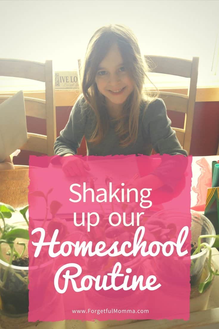 Shaking Up Our Homeschool Routine