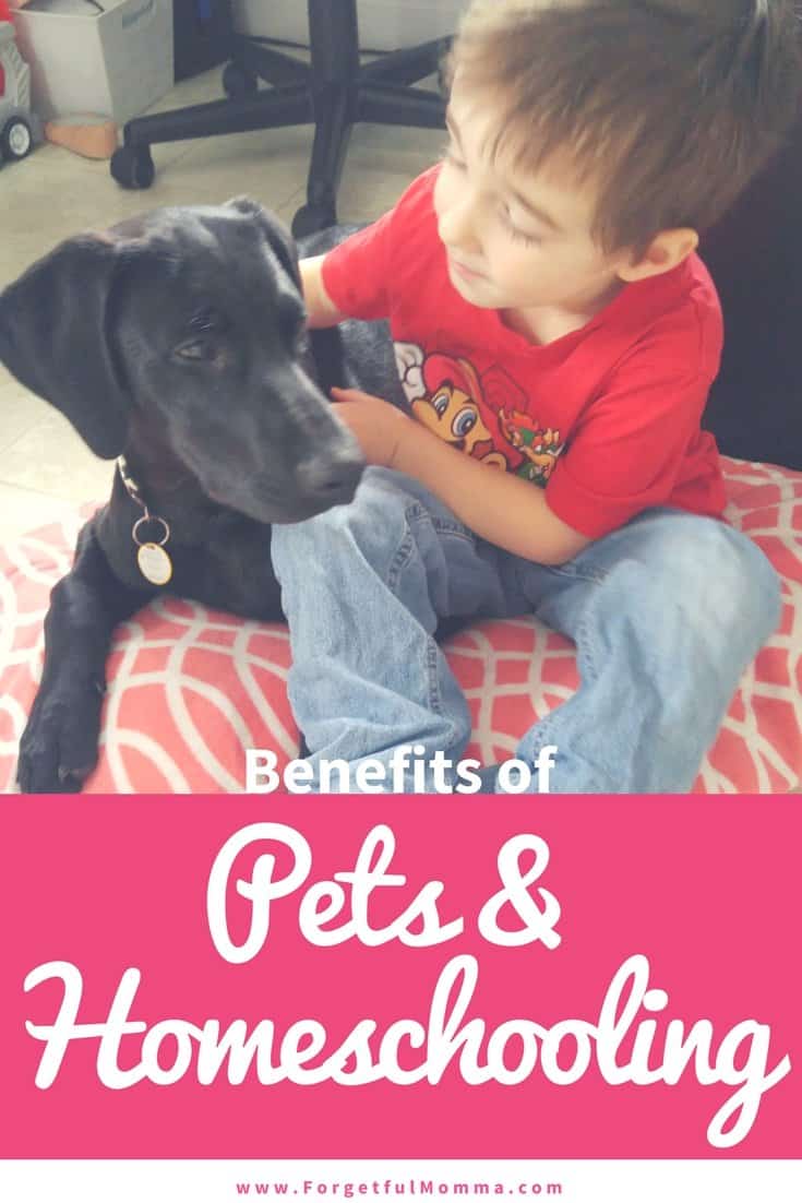 Benefits of Pets and Homeschooling