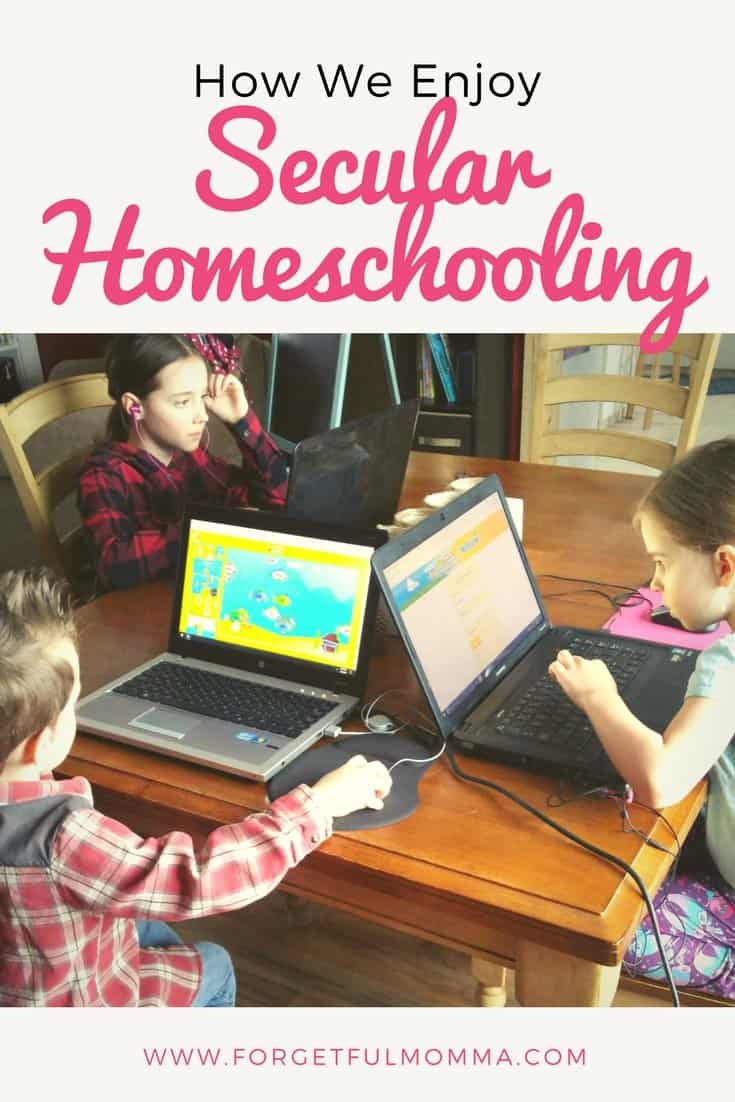 How We Enjoy Secular Homeschooling