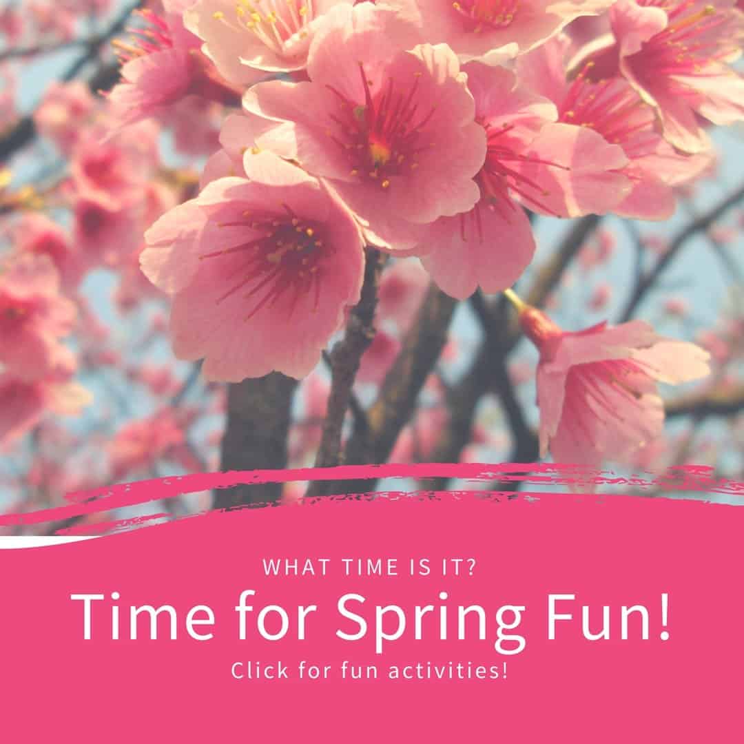 Time for Spring Fun