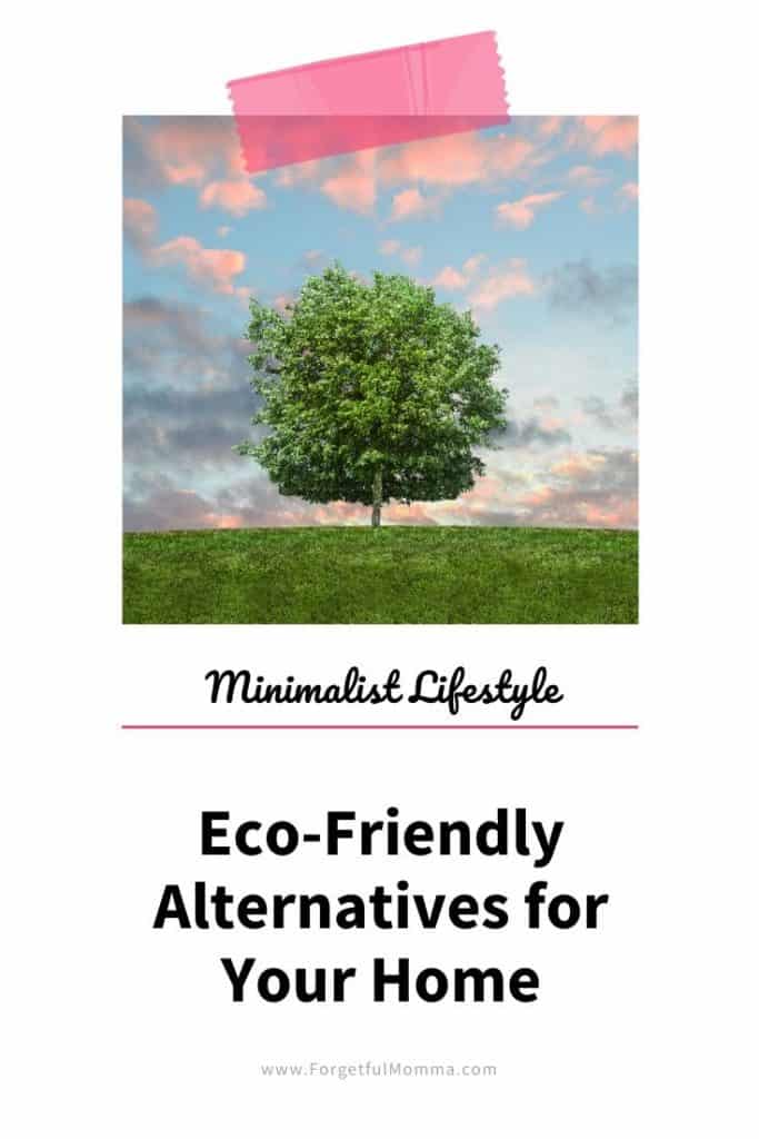 Eco-Friendly Alternatives for Your Home