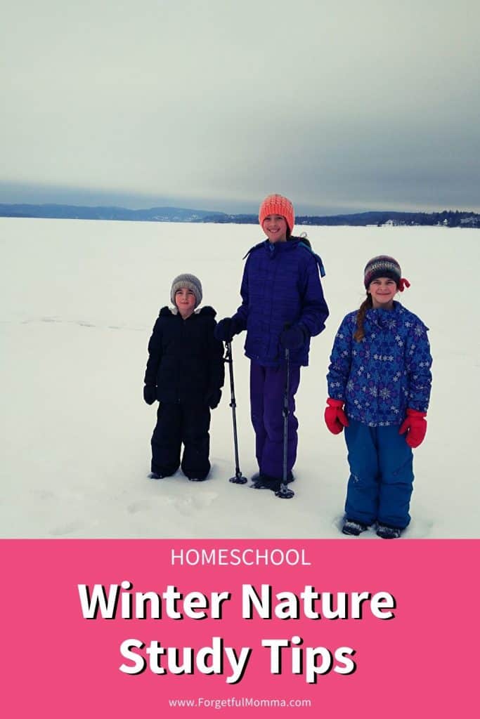 Homeschool Winter Nature Study Tips