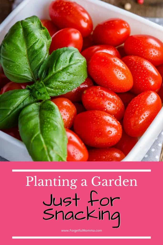Growing a Snack Garden with Your Kids