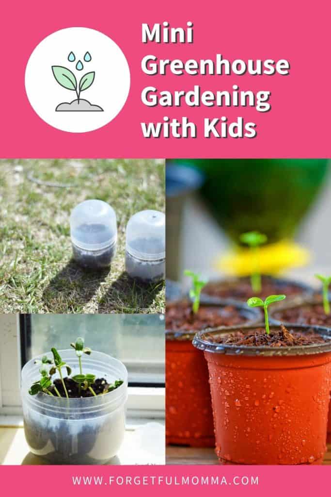 Mini Greenhouse Gardening with Kids
