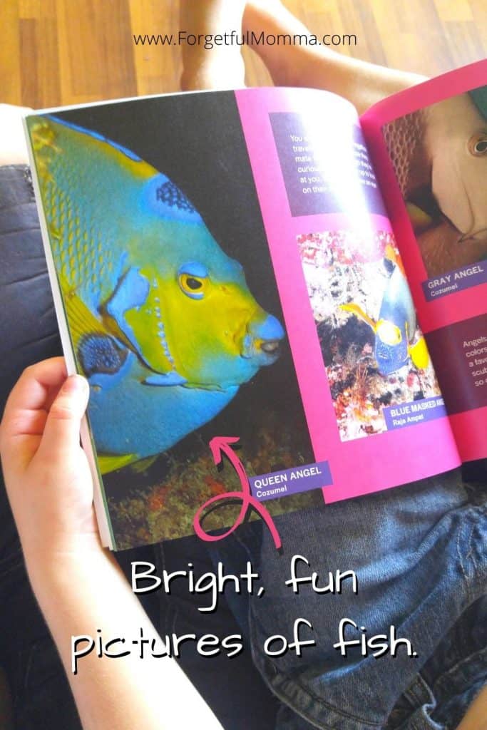 All fish Face Picture Book - page from book