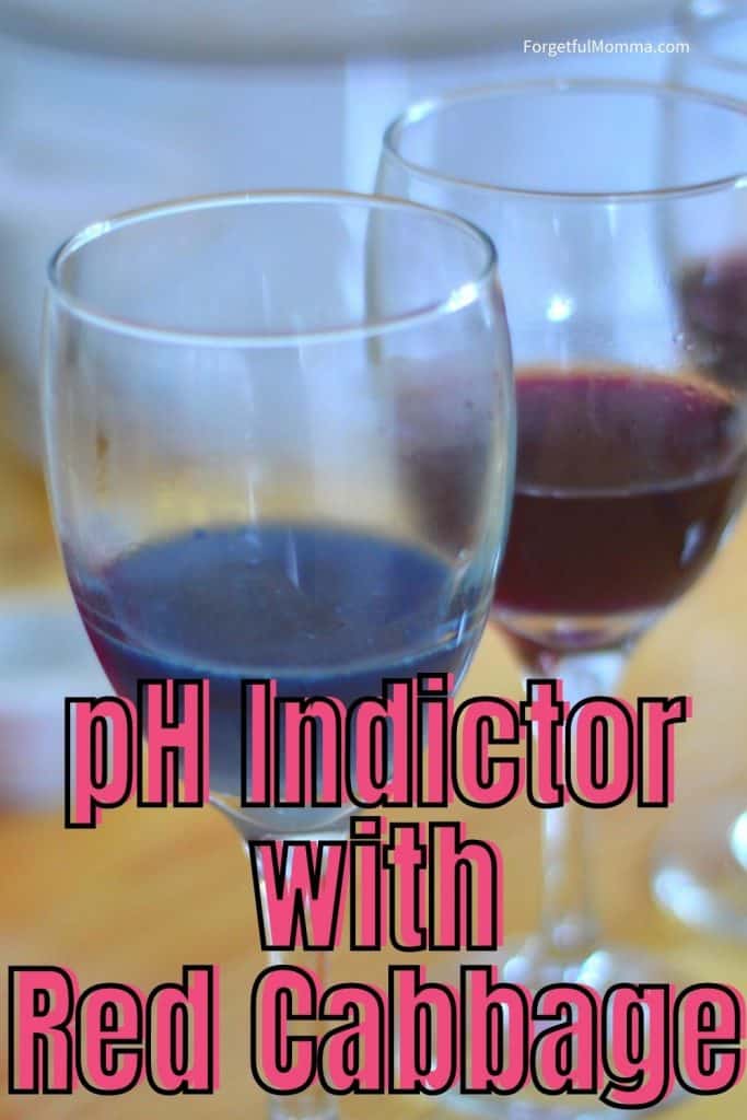 pH Indictor with Red Cabbage