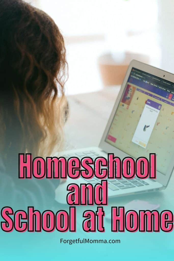 Homeschool and School at Home