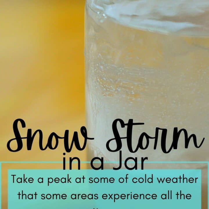 Snow Storm in A Jar Science Experiment