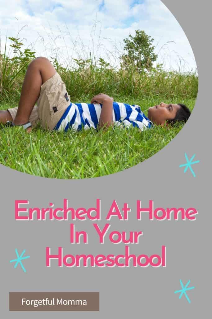 Enriched At Home In Your Homeschool