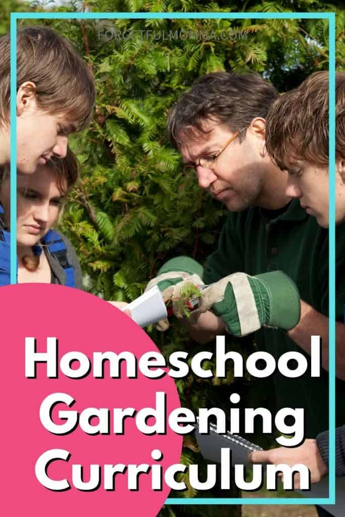 Plan de estudios de horticultura en el hogar