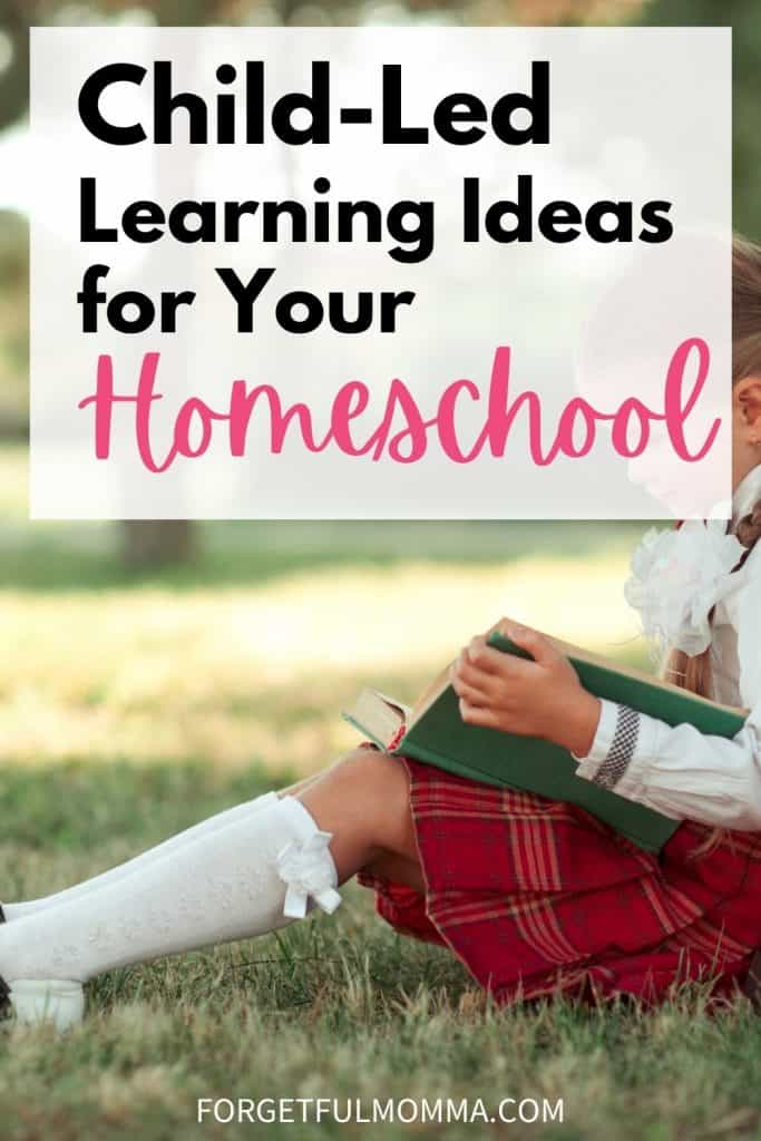 Child-Led Learning Ideas for your Homeschool