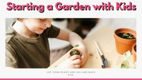 child looking at seedlings in a pot with text overlay