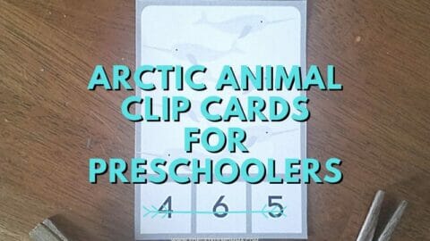 sample clip card with Arctic Animal Clip Cards for Preschoolers text overlay